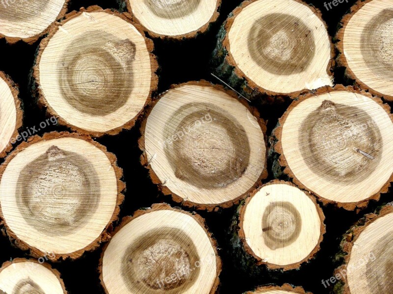 Holzstapel Hardwood Tree Trunks Free Photos