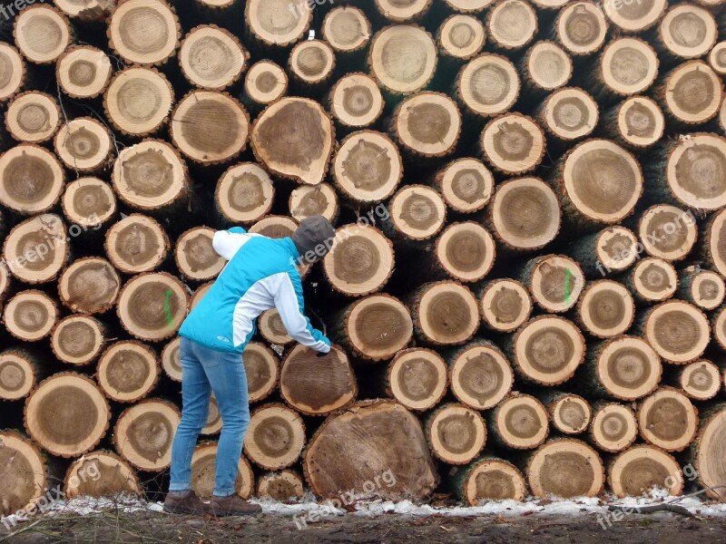 Wood Logging Lumber Man And Wood Free Photos