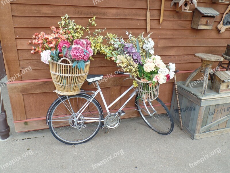 Bicycle Flowers Basket Free Photos