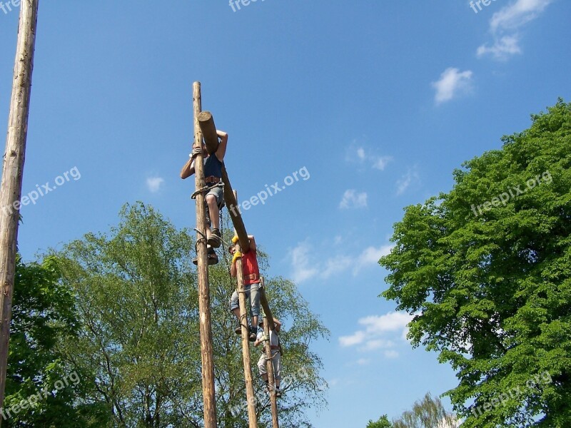 Men Climbing Trees Work Exhausting Wood