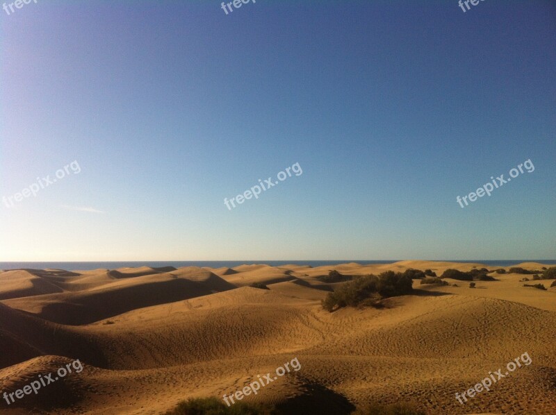 Desert Beach Nature Sand Coast