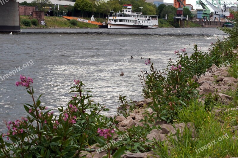 Mannheim Neckar Ship Free Photos