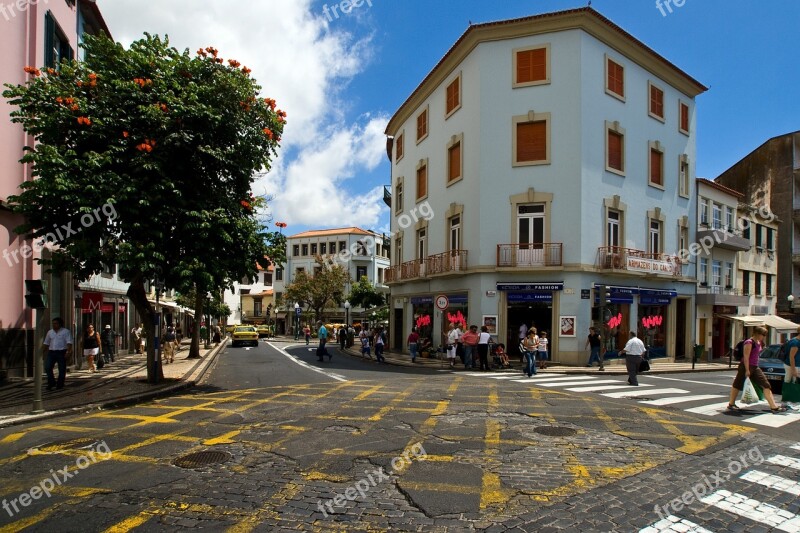 Madeira Funchal Historic Center Free Photos