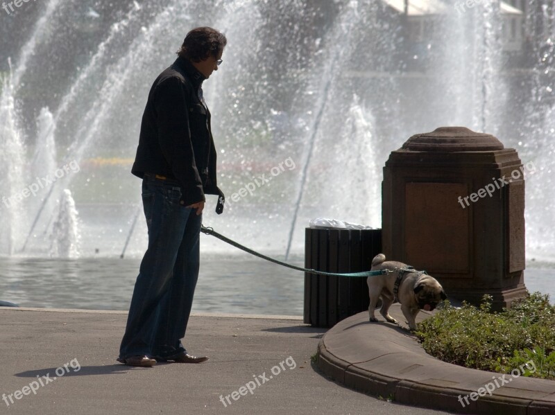 Fountain Human Dog Water Games Free Photos