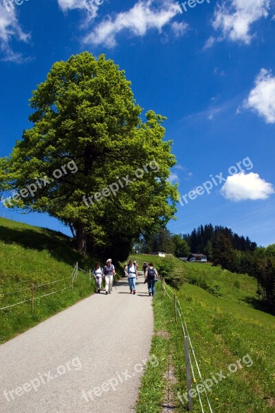 Away Bregenz Hiking Free Photos