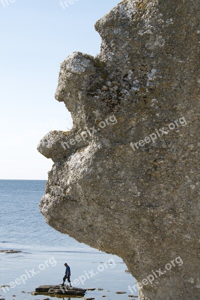 Gotland Faro Sea Stack Sea Free Photos