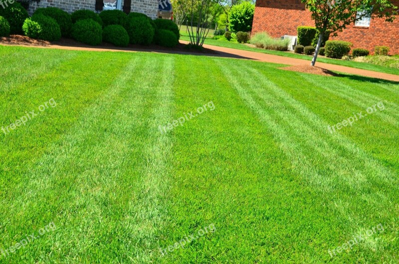 Lawn Care Lawn Maintenance Lawn Services Grass Cutting Lawn Mowing