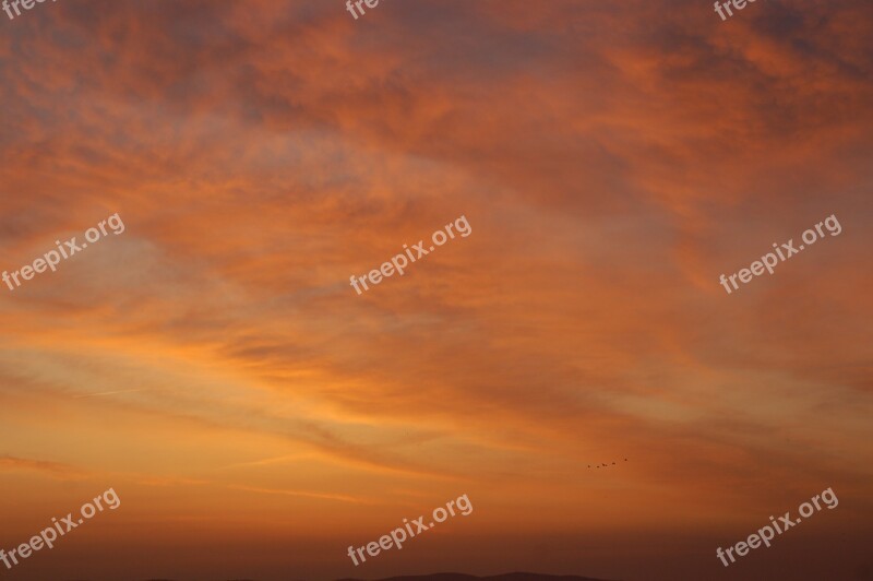 Sunrise Birds Portugal Europe Alentejo