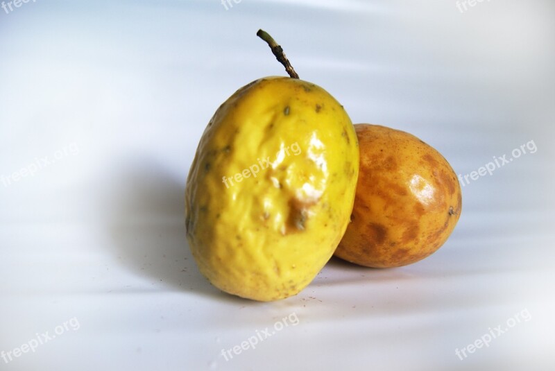 Passion Fruit Fruit Passion Chinola Passionfruit