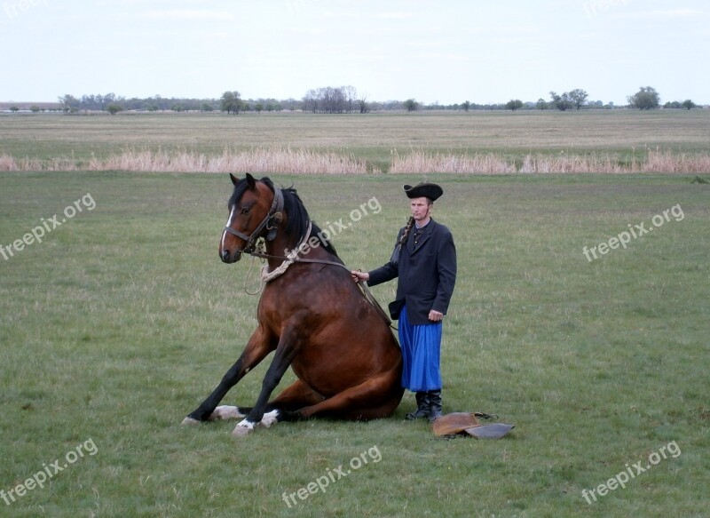 Hungary Puszta Horse Rider Drezůra