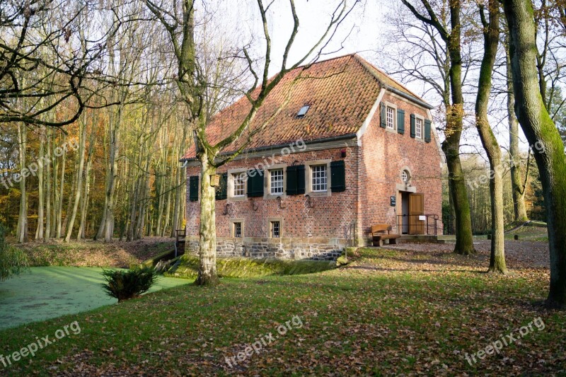 House Forest Nature Hut Wood