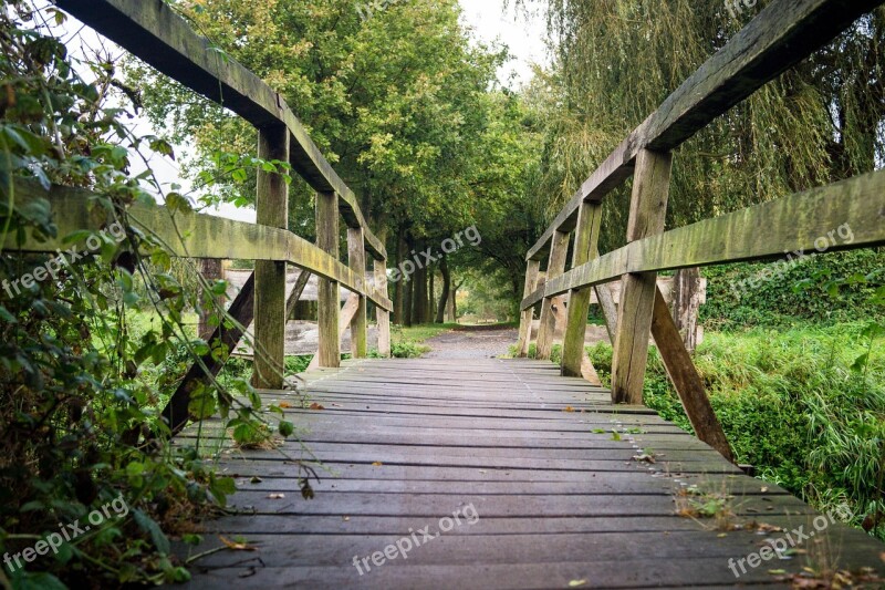 Bridge River Water Wood Nature