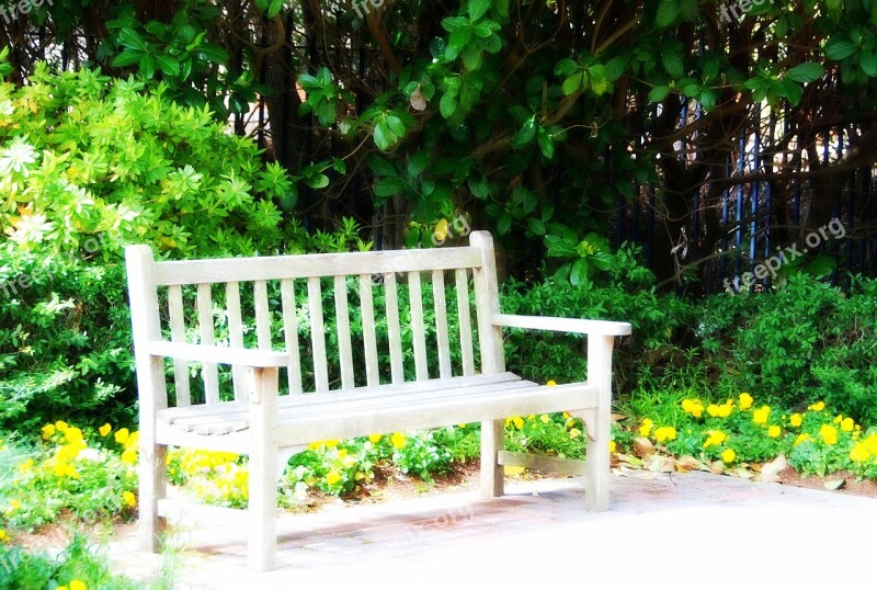 Bench Garden Flowers Green Yellow