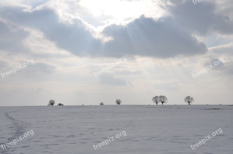 Winter Snow Frost Field Free Photos