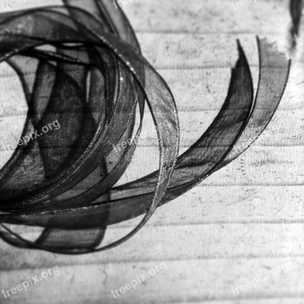 Ribbon Black And White Line Shadow Free Photos