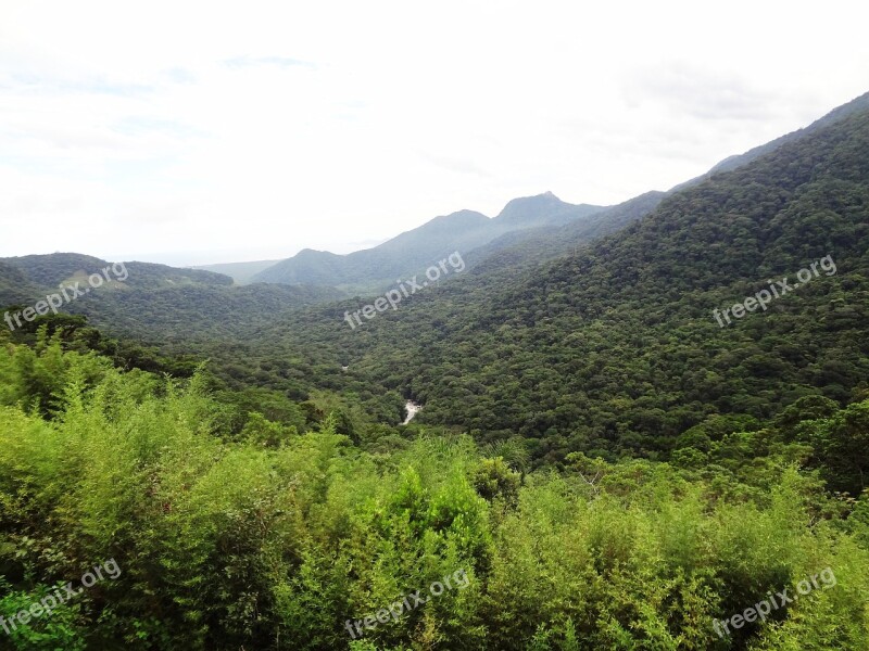 Atlantic Forest Valley Green Mountain Brazil