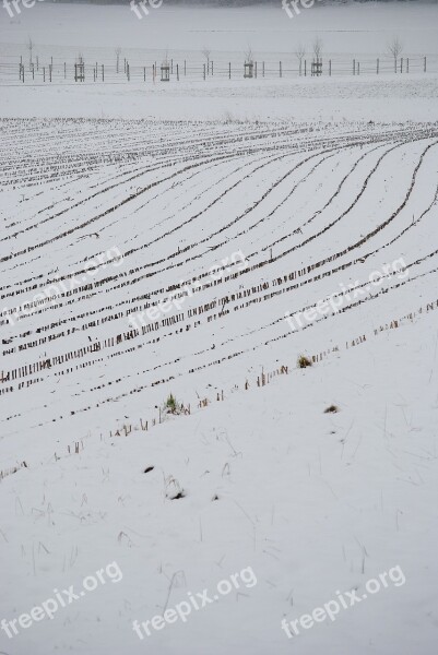 Arable Snow Lines Wintry Snowy