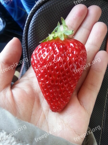 Red Fruit Food Fresh Strawberry