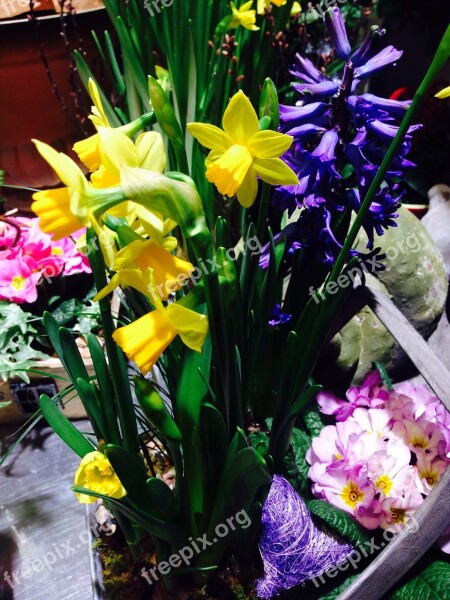 Flowers Spring Colorful Party Luck