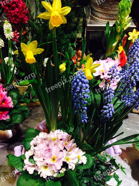 Flowers Spring Colorful Party Luck