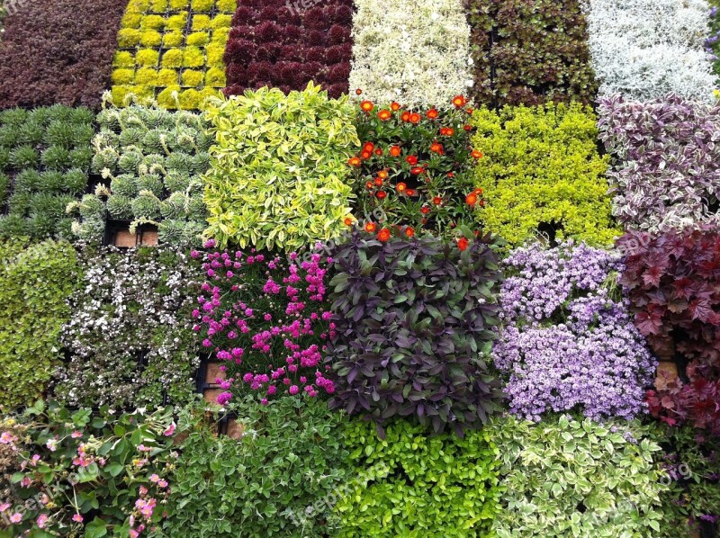 Flowers Market Spring Flowers Was South Tyrol