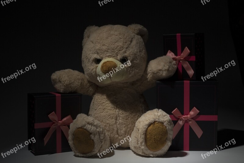 Children Teddy Bear Plush Gifts Free Photos