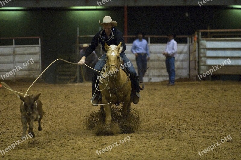 Rodeo Calf Roping Arena Competition