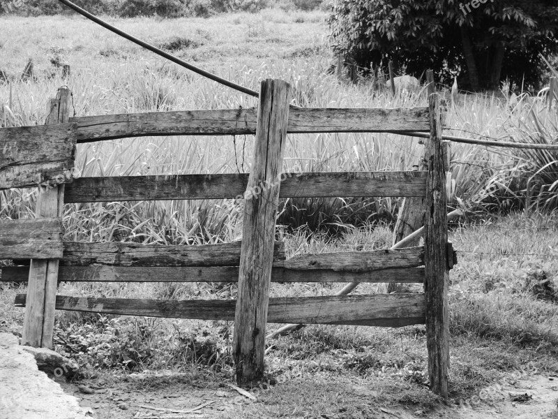 Wood Surrounded Old Roça Farm