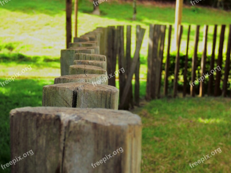 Wood Nature Landscape Old Aligned