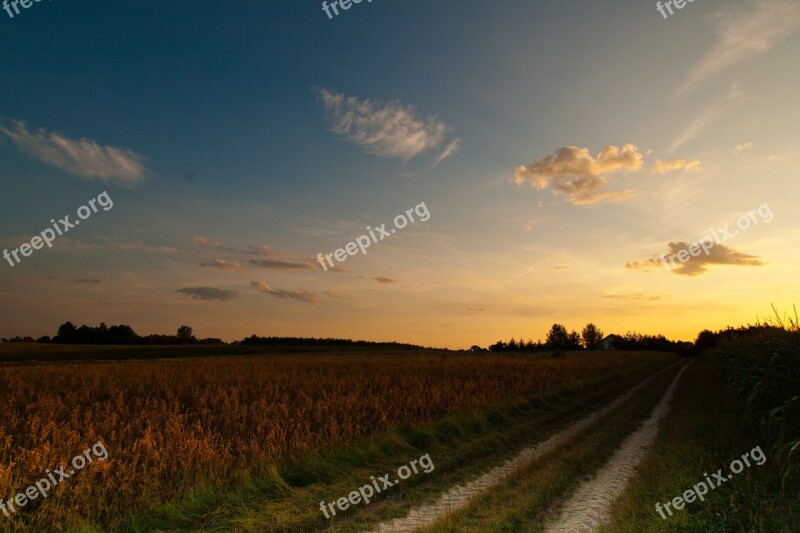 Sunset Evening Sun Warm Evening Sky