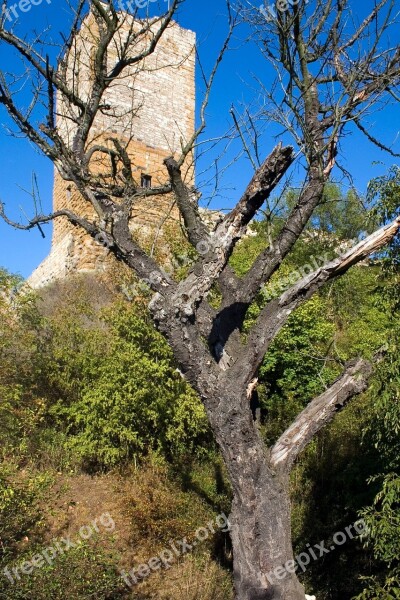 Castle Thuringia Germany Thuringian Forest Castle Ruins The Three Same