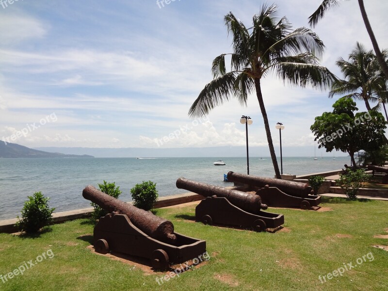 Cannon Palm Tree Mar Ilhabela Free Photos