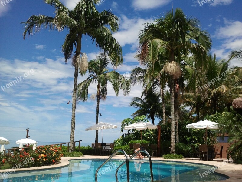 Pool Holidays Palm Trees Beach Rest