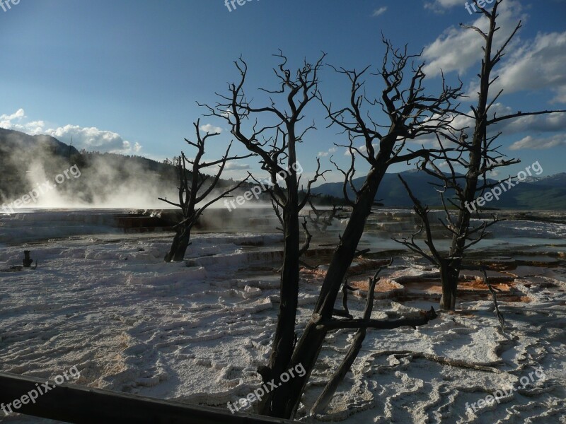 Yellowstone National Park Wyoming Geological Formation Steam Terrace