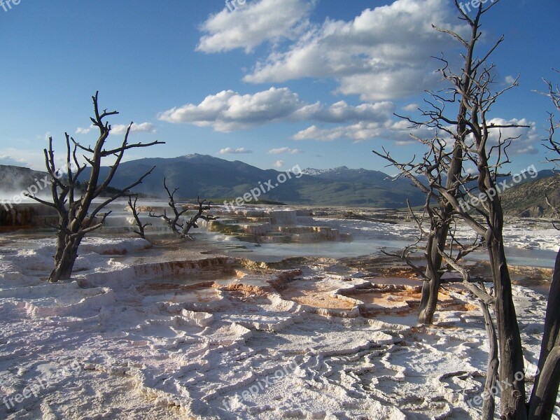 Yellowstone National Park Wyoming Terrace Thermal Mineral Deposit