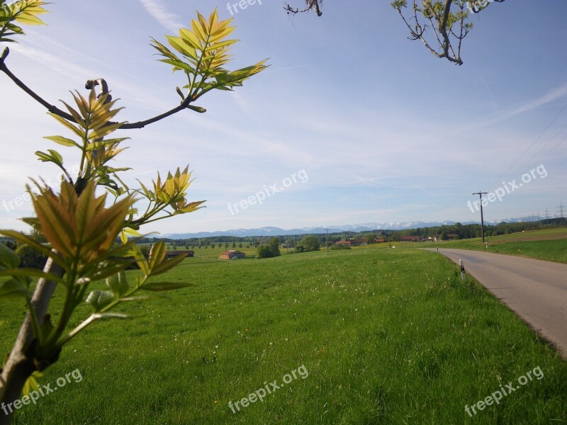 Spring Awakening Nature Road Free Photos