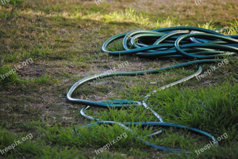 Hose Grass Garden Green Nature