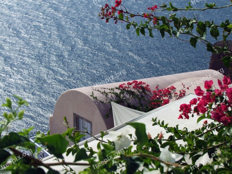 House By The Sea The Crater Rim Cycladic Style Bougainville Plant