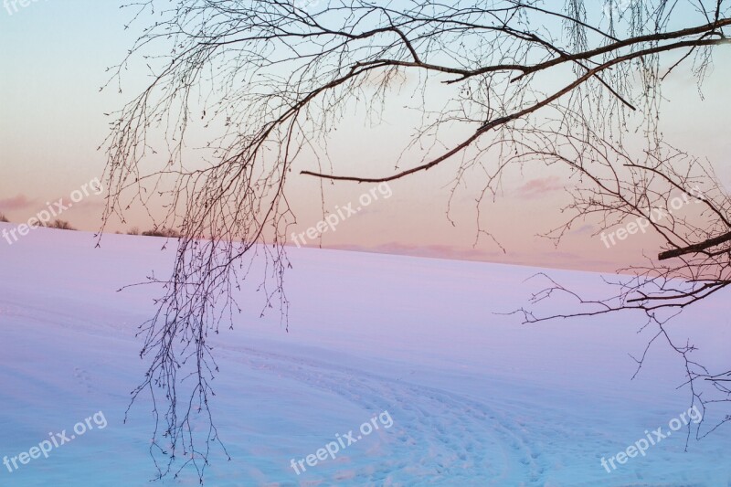 Snow Winter Wintry White Shadow