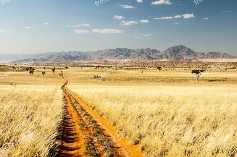 Namibia Wolwedans Namib Edge Desert Away