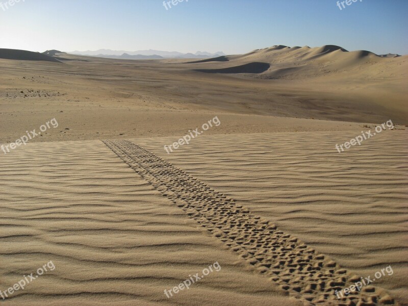 Algeria Sahara Desert Sand Dunes