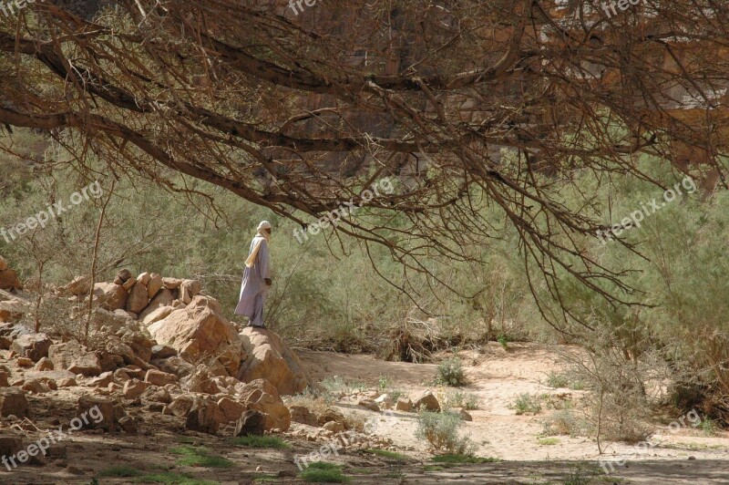 Algeria Touareg Desert Free Photos