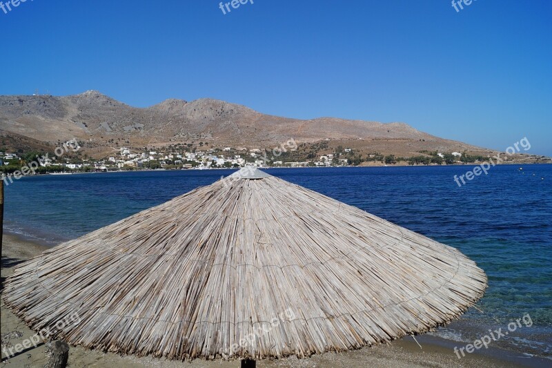 Sea Parasol Reed Bamboo Shadow