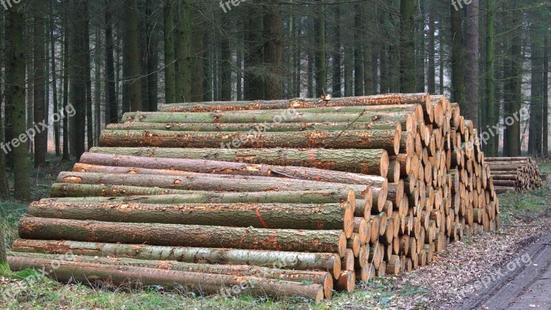 Tree Trunks Holzstapel Forest Forestry Free Photos