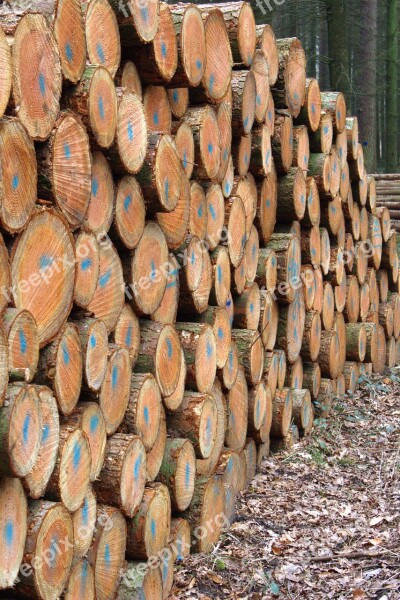 Holzstapel Spar Forestry Tree Trunks Free Photos