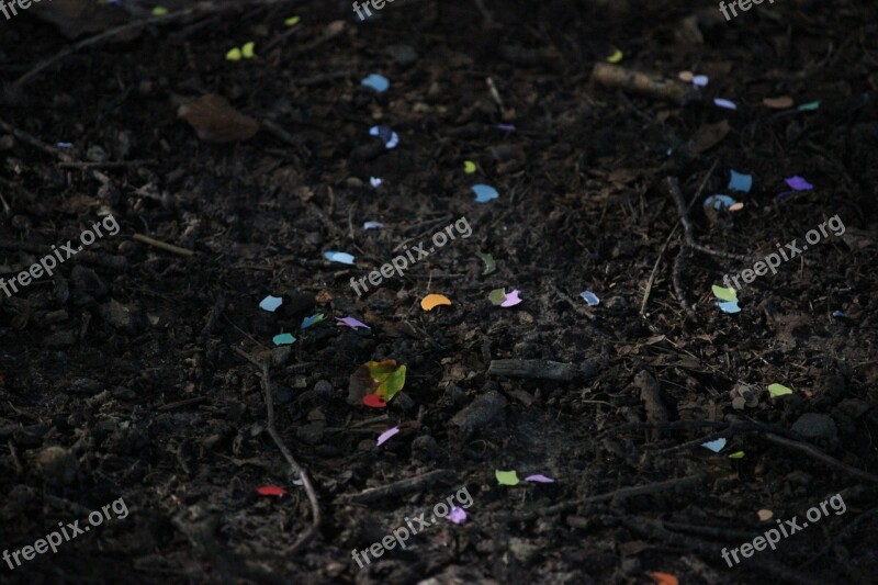 Confetti Color Ground Free Photos