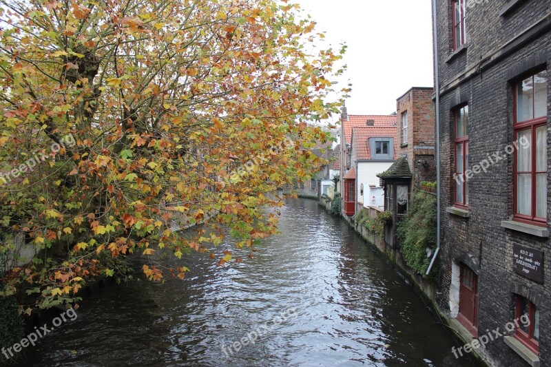 Belgium Brugge Autumn Canal Tourism