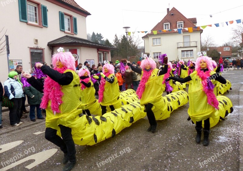 Strassenfasnet Guild Group Costume Centipede Free Photos