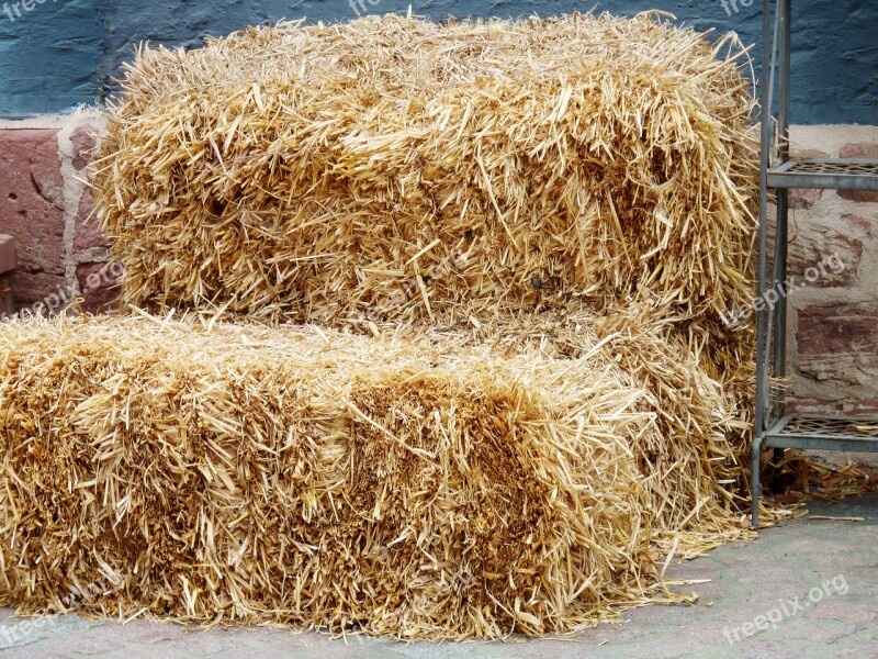 Hay Hay Bales Summer Field Harvest