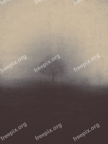 Misty Fog Nature Haze Foggy Gloomy